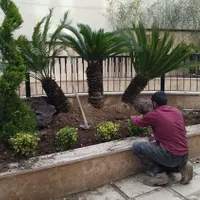 باغبانی  طراحی باغچه گل و درخت با چک کاشت رایگان|خدمات باغبانی و درختکاری|تهران, ونک|دیوار