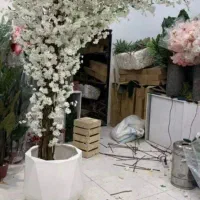 گلدان نو نو