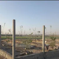 پایه فنس بتنی داربست انگور فنس و سیم خاردار|خدمات باغبانی و درختکاری|مسجد سلیمان, |دیوار