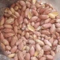 بادام زمینی آستانه|خوردنی و آشامیدنی|ماهدشت, |دیوار