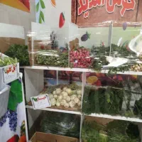بساط کامل میوه فروشی|فروشگاه و مغازه|شیراز, شهرک بزین|دیوار