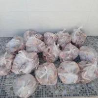 فروش مروغ محلی|حیوانات مزرعه|رامهرمز, |دیوار