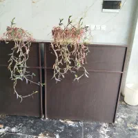 کانتر مناسب شرکت یا مغازه|دفتر کار|تهران, جیحون|دیوار