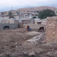 فروش زمین مسکونی سراب ننیز