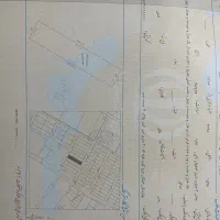 زمین-در-مرغ