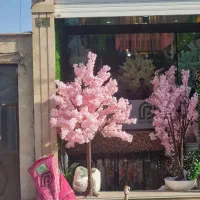 همکار  و فروشنده اقا وخانم  تمام وقت