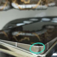 Galaxy S25 Ultra
