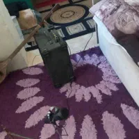 بلندگو اکو|سیستم صوتی خانگی|تهران, سوهانک|دیوار