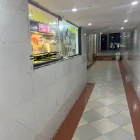 استخدام کارمند برای  تولید محتوا و ادمین