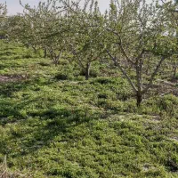 ساخت کیو آر کد حرفه ای