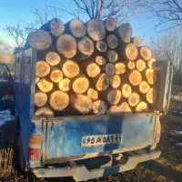 خرید چوب ،خشک و سرپا ، و سعبول عبور