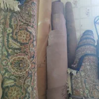 تعدادی فرش و موکت|فرش|زاهدان, |دیوار