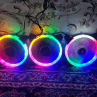 فن کیس