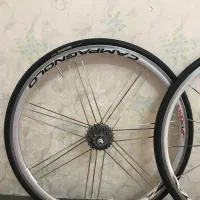 طوقه دوچرخه کورسی کمپانیول|دوچرخه، اسکیت، اسکوتر|تهران, دهکده المپیک|دیوار