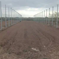 یکواحد گلخونه فروشی در روستای محمودیان|فروش دفتر صنعتی، کشاورزی، تجاری|بشاریات, |دیوار