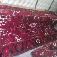 فرش ۹متری|فرش|اهر, |دیوار