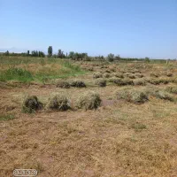 علف حیوانات فروشی|لوازم جانبی حیوانات|تسوج, |دیوار