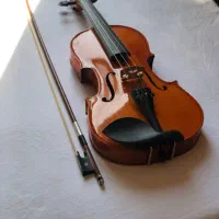 ویولن ویالن ویالون ویتنر ۴/۴ نو
