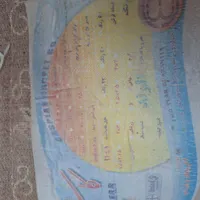 فرش ۹ متری دو تخته|فرش|رودسر, |دیوار
