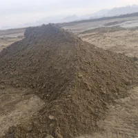 خرید وفروش کود گاوی ومرغی