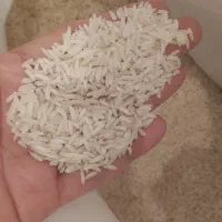 برنج هاشمی درجه یک کیلویی ۳۵۰