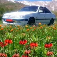 فروش خودروی پارس دوگانه دستی|خودرو سواری و وانت|فریدونشهر, |دیوار