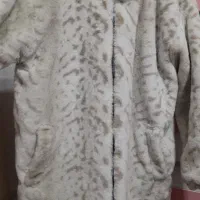 پالتو تدی|لباس|سقز, |دیوار