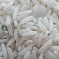 فروش برنج هاشمی اصل