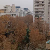 100متر /مدرن/ و لاکچری|اجارهٔ آپارتمان|تهران, کامرانیه|دیوار