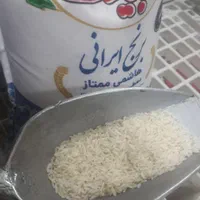 برنج تازه محصول ۱۴۰۴ هاشمی علی کاظمی رسید|خوردنی و آشامیدنی|شهریار, فرارت|دیوار
