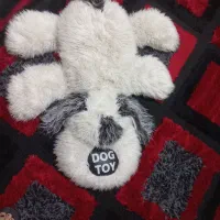 سرویس خواب کودک تا نوجوان|تخت و سرویس خواب|شاهین‌شهر, اقبال لاهوری|دیوار