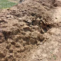 ‌کود حیوانی(انبار گوسفند)