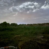 زمین کشاورزی