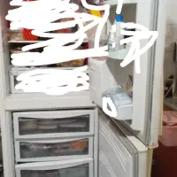 یخچال|یخچال و فریزر|تربتحیدریه, کوی شهید احمدزاده ملکی|دیوار