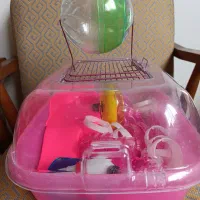 قفس همستر مدل جزیره، به همراه گوی قلتان، ظرف آب و.