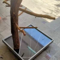 تنه درخت برای بازی عروس هلندی و طوطی|لوازم جانبی حیوانات|تهران, ائمه اطهار|دیوار