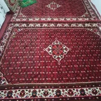 یک جفت فرش دستباف ازندریان|فرش|همدان, |دیوار