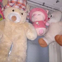 عروسک|اسباب‌‌بازی|اصفهان, کلمان|دیوار