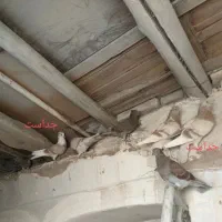 کبوتر کهنه و مفلقه و گمشده|پرنده|کاشان, پاقپان|دیوار