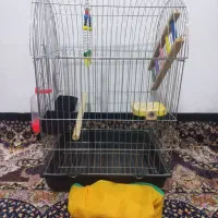 قفس پرنده