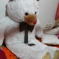 عروسک خرسی