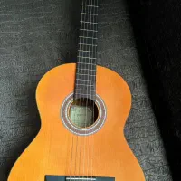 گیتار کلاسیک پارسی