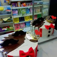 استخدام همکار اقا برای شیرینی پزی