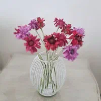 گل وگلدان قابل شستشو
