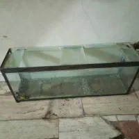 آکواریوم