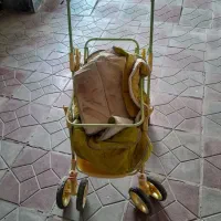 کالسکه کودک