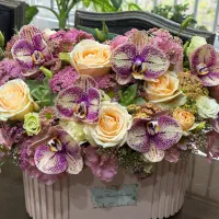 گل ارکیده بسیار شیک و زیبا