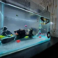 اکواریوم مجهز  به رسوب گیر  ،صخره ،چراغ ال ی دی ،