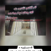کارشناسی تشخیص رنگ خوردرو