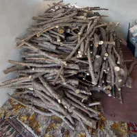 چوب بادام بریده آماده
